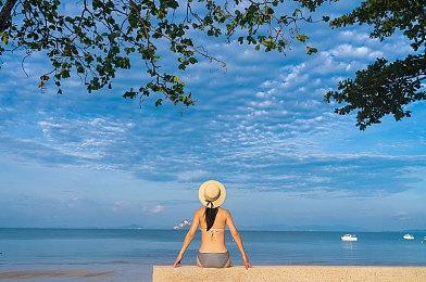 《宝可梦：朱紫》新泰拉挑战将启动 炽焰咆哮虎参战