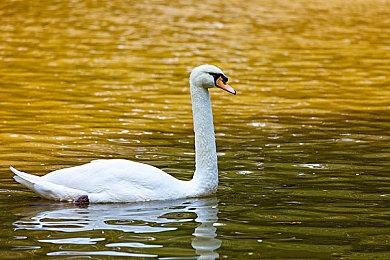 《艾尔登法环》成美国2月最赚钱的游戏